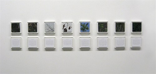 installation, Vertigo Image