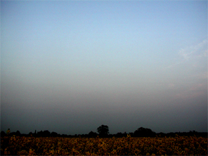 tonal changes across the sky Image
