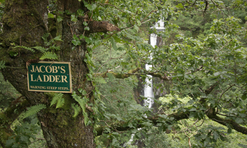 Jacobs Ladder 