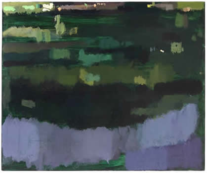 study Image