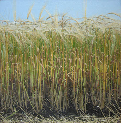 oil on canvas , 610mm x 610mm Image