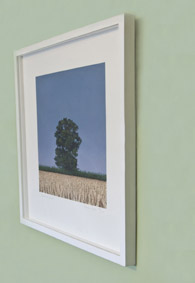 white box frame Image